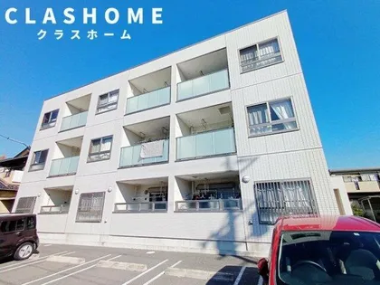 セントポーリアの画像