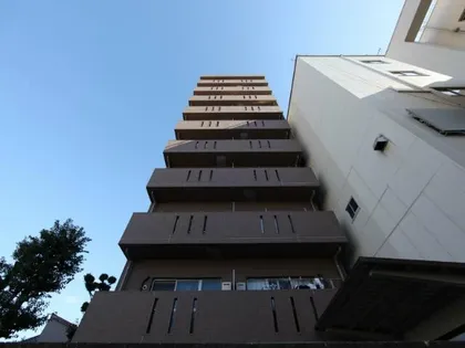 ベル アンジュの画像