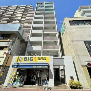 ムーランマグノリアの画像