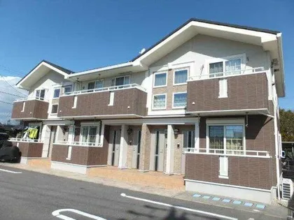 サンフラワーの画像