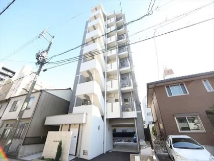 PURA VIDA花の木の画像