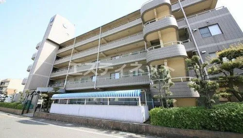 ルシードオチの画像