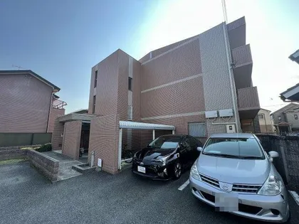 グランデージーの画像