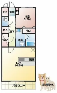 スプランディッド福島WEST【6階】の間取り