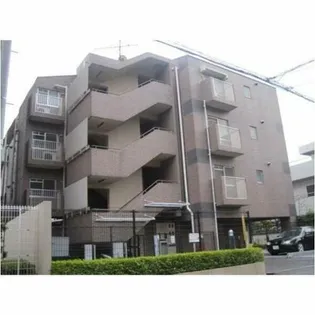 グレースマヤの画像