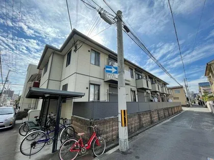 エクセルコートの画像