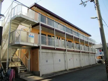 ルネ シャインの画像