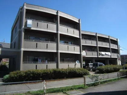 RAFFINE清華の画像