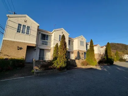 フルール ド スリジェの画像