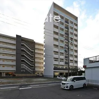 NEUA NARUMIの画像