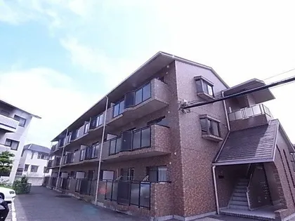 パレドールJOEの画像