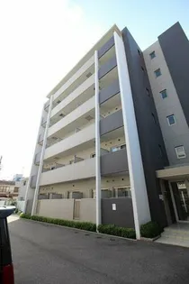 ドルフシィアの画像