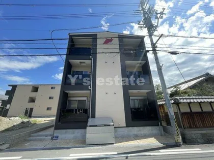 F ASECIA RUMINAの画像