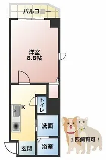 GROOVE守口駅前【5階】の間取り