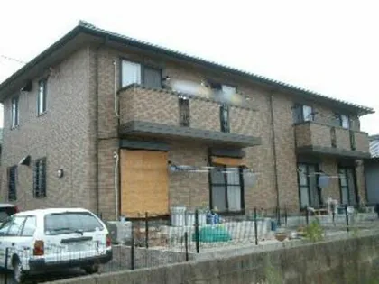 カモミールの画像