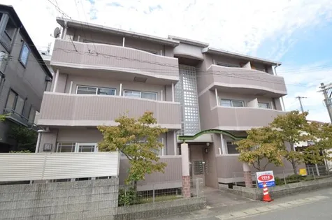 プリモローザMの画像