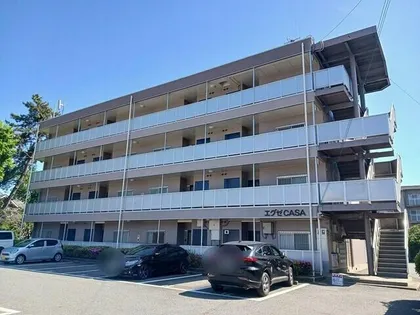 エグゼカーサの画像