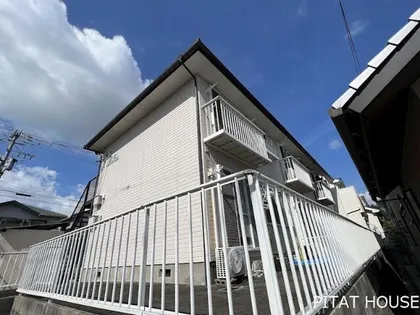 Y H BIGSMILEの画像