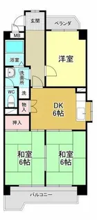 スターライトM【4階】の間取り
