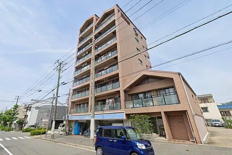 コリンデールの画像