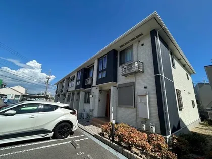 フェリースⅡの画像