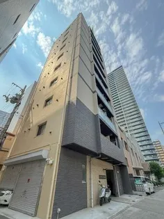 ラフェリシア海岸通の画像