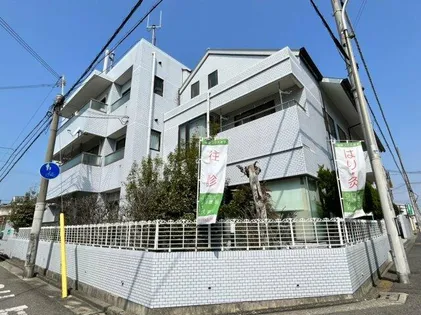 UDベルビラの画像