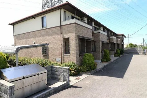 プラシードの画像