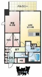 Dimus北浜【13階】の間取り