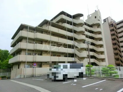 ナーシサス法橋の画像