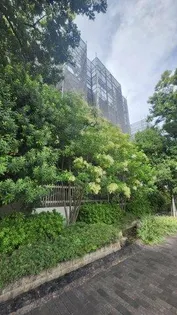 パーク コート御影の画像