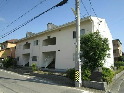 ハミング尾嶋Cの画像