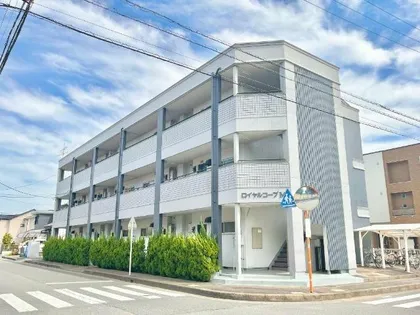 ロイヤルコープMの画像