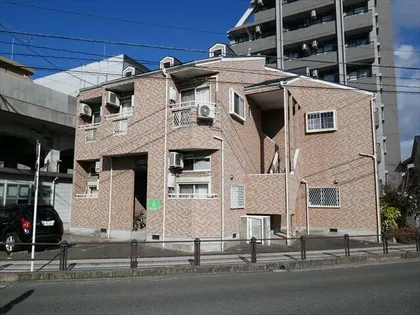 ソフィー箱崎の画像