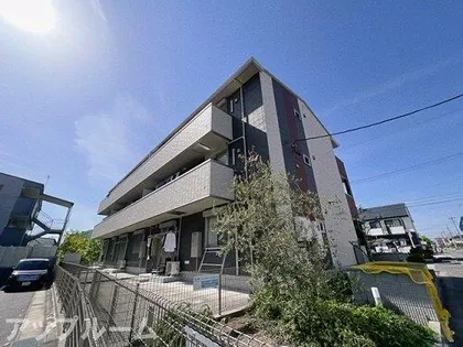 リブ フラットの画像