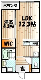 SHIZUKA BLDG【203号室】の間取り