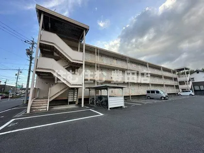 ベルメゾン錦の画像