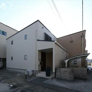 シェモアの画像