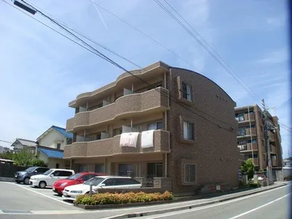 ノースエスペランサの画像