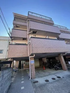 シェルビューの画像