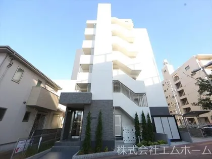 カランコエ川並の画像