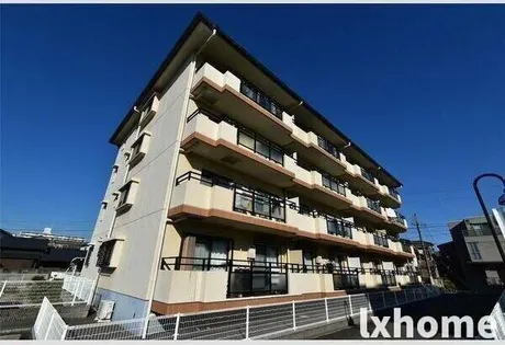 シャロームDの画像