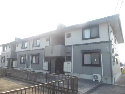 ハイカムールはなベの画像