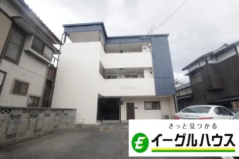 HALELEAの画像