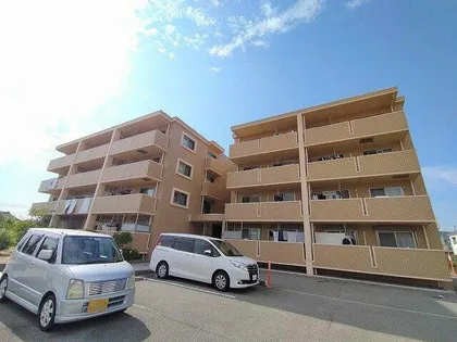 ネオコートの画像