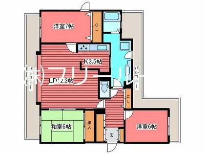 パシフィック福住【501号室】の間取り
