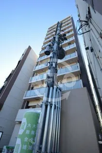 FDS WILL KOHAMAの画像