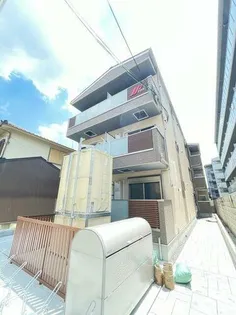 F ASECIA CANAREの画像