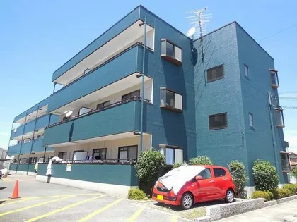 ソルジェンテ金剛の画像