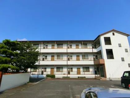 ハイツトビの画像